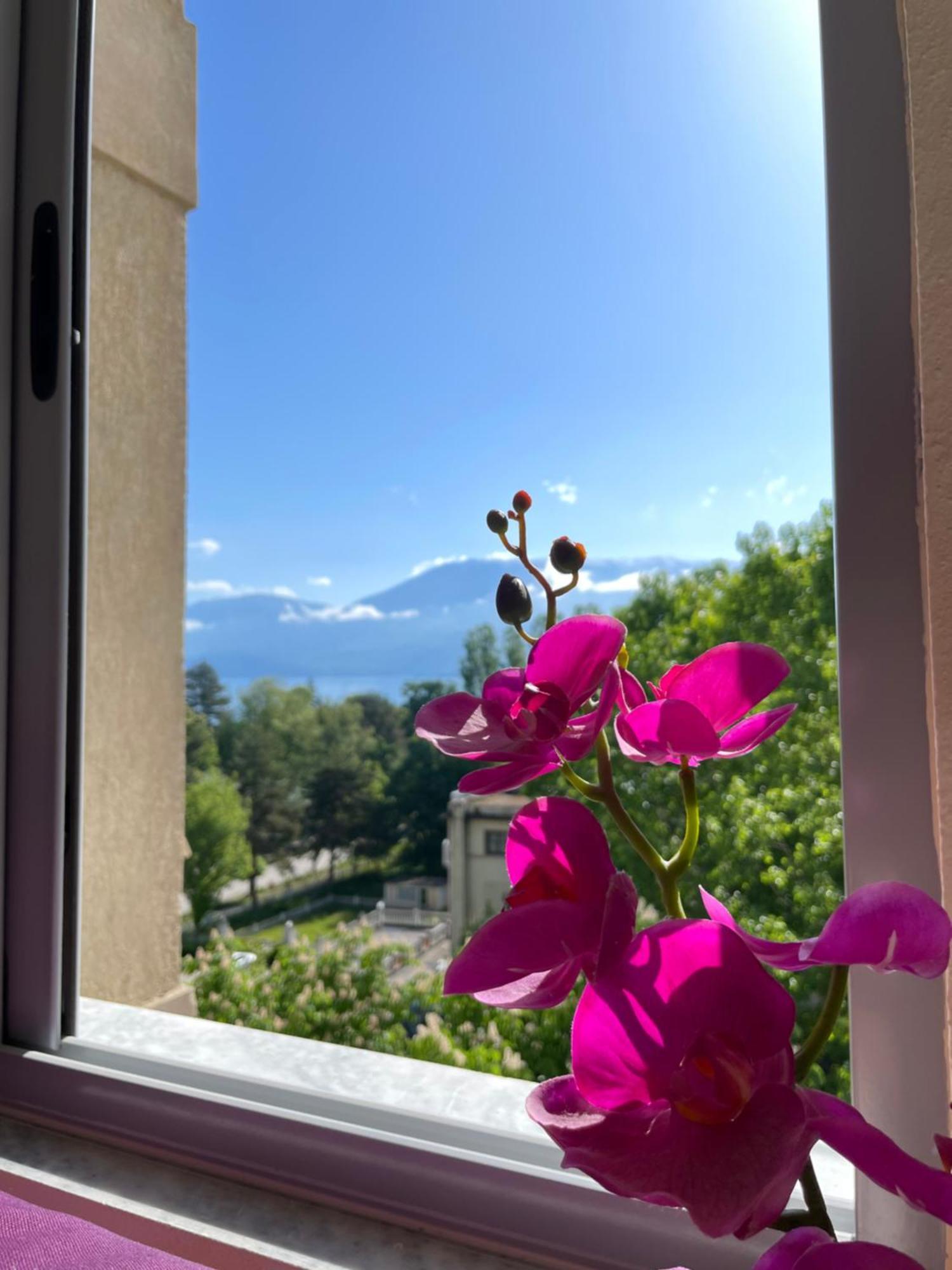 Lake View بورغراديك المظهر الخارجي الصورة